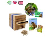 Zuchtset Wildbienen Gehrnte Mauerbiene, Gutschein-Set, 5 Teile