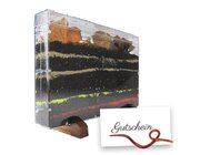 Zuchtset Regenwrmer, Gutschein-Set, 5 Teile