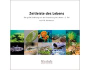 Zeitleiste des Lebens, Kosmisches Leseheftchen