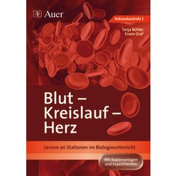 Blut, Kreislauf, Herz