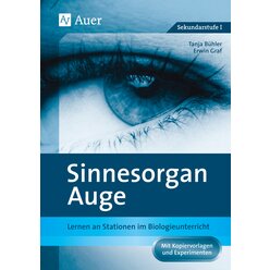 Sinnesorgan Auge