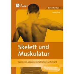 Skelett und Muskulatur