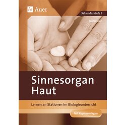 Sinnesorgan Haut