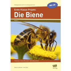 Erste-Klasse-Projekt: Die Biene - Broschre