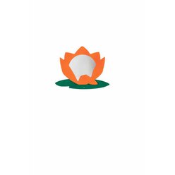 Wandspiegel Seerose, Motivrahmen