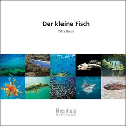 Der kleine Fisch, kosmisches Leseheft, ab 6 Jahre