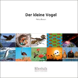 Der kleine Vogel, kosmisches Leseheft, ab 6 Jahre