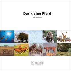 Das kleine Pferd, Montessori Leseheft, ab 6 Jahre