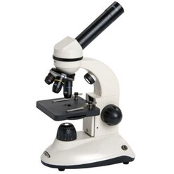 Compra-Mikroskop fr Einsteiger