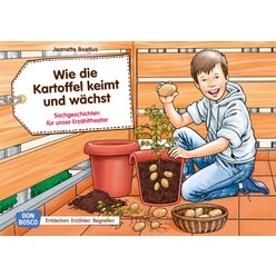 Kamishibai Bildkartenset - Wie die Kartoffel keimt und wchst, 4-8 Jahre