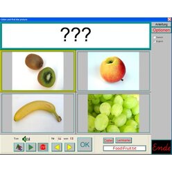 English with pictures (Einzellizenz)