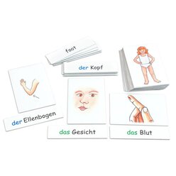 Flash Cards - Mein Krper, ab 5 Jahren