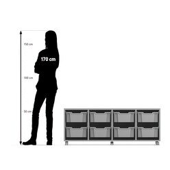 Flexeo Regal PRO, Eiche natur, HxBxT: 54.3x143.9x48 cm, 4 Reihen, 8 gro�e Boxen bunt B, Rollen