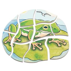 Lagenpuzzle von der Kaulquappe zum Frosch, 4-7 Jahre