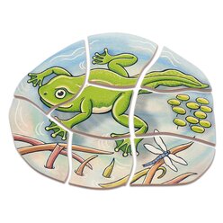 Lagenpuzzle von der Kaulquappe zum Frosch, 4-7 Jahre