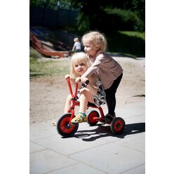 Winther MINI VIKING Krippendreirad mit Steg 8600442