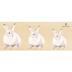 Holz-Puzzle Gre und Tiefe 4er Set: Ente, Hase, Katze, Frosch