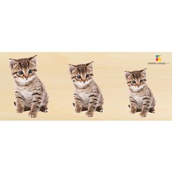 Holz-Puzzle Gre und Tiefe 4er Set: Ente, Hase, Katze, Frosch