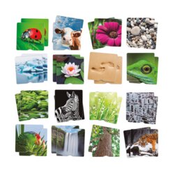 Fhl-Memo Natur, 3-8 Jahre