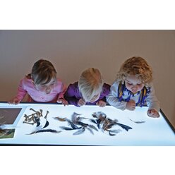 Groer Leuchttisch, 180 x 60 cm, hhenverstellbar 66,5 bis 83,5 cm