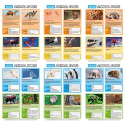 Tier-Lebensraum-Spiel, ab 6 Jahre, komplett in Englisch
