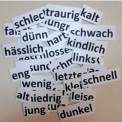 Magnet-Set Gegenstze, Folie und Textkarten