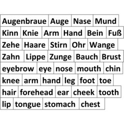 Magnetisches Tafel-Set Mein Krper / my body