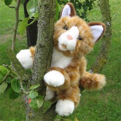 Living Puppets Kleine braune Katze Handpuppe W044