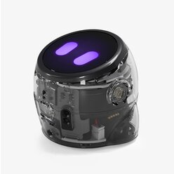 Ozobot Ari Entry Kit