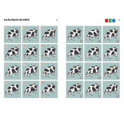 miniLK Konzentrationsbungen, Heft, Vorschule bis 2. Klasse