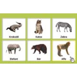 ShowMe AAC 3.0 zustzliche Aktivierung zur Mehrplatzlizenz (Download Version)