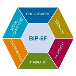 BIP-6F kpl. Bochumer Inventar zur berufsbezogenen Persnlichkeitsbeschreibung  6 Faktoren Version