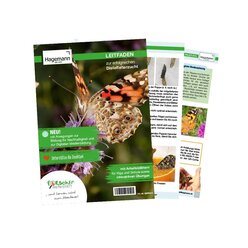 Gutschein-Set Schmetterlinge, gro, 12 Teile