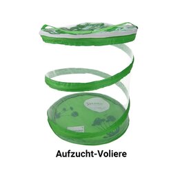 Gutschein-Set Schmetterlinge, gro, 12 Teile