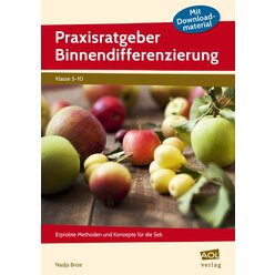 Praxisratgeber Binnendifferenzierung, Buch, 5. bis 10. Klasse