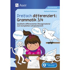 Dreifach differenziert Grammatik 3/4, Buch