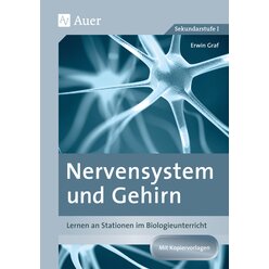 Nervensystem und Gehirn