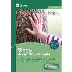 Sinne in der Grundschule