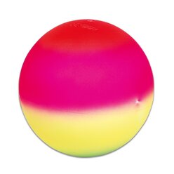 Regenbogenball Neon-Farben, Durchmesser 23 cm