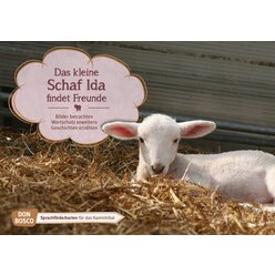 Kamishibai Bildkartenset - Das kleine Schaf Ida findet Freunde, 2-10 Jahre