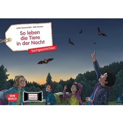 So leben die Tiere in der Nacht. Kamishibai Bildkartenset, 4-8 Jahre