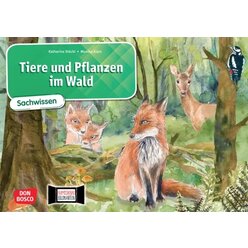 Tiere und Pflanzen im Wald. Kamishibai Bildkartenset, 6-10 Jahre