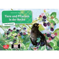 Kamishibai Bildkartenset - Tiere und Pflanzen in der Hecke, 6-10 Jahre