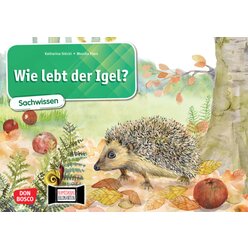 Kamishibai Bildkartenset - Wie lebt der Igel?, 6-10 Jahre