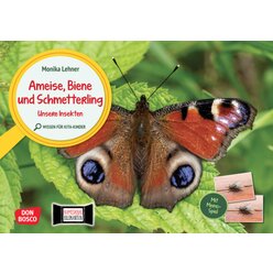 Ameise, Biene und Schmetterling. Unsere Insekten. Kamishibai Bildkarten und Memo-Spiel ab 3 Jahre