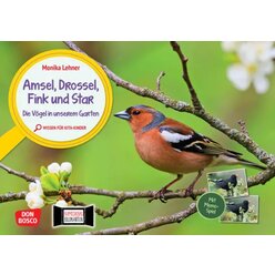 Kamishibai Bildkarten und Memo-Spiel - Amsel, Drossel, Fink und Star. Die Vgel in unserem Garten, 3-6 Jahre