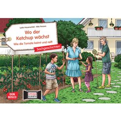 Kamishibai Bildkartenset - Wo der Ketchup wchst. Wie die Tomate keimt und reift, 4-8 Jahre