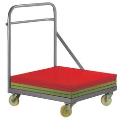 Grevinga Mattenwagen fr Judomatten 100x100 cm