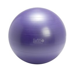 Gymnic Plus 65 cm BRQ, purple