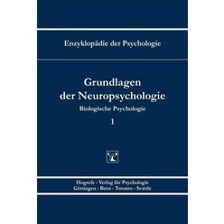 Grundlagen der Neuropsychologie